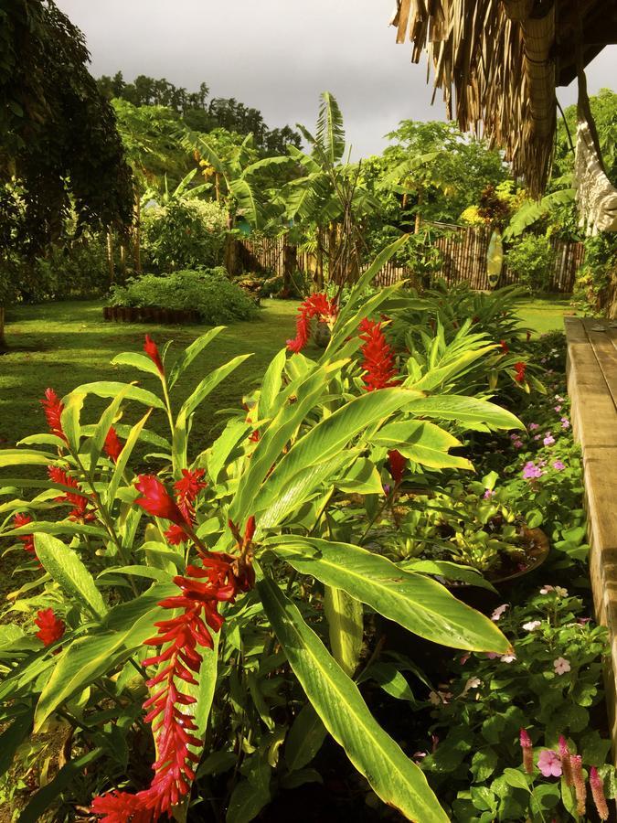 Island Home Uturoa Luaran gambar